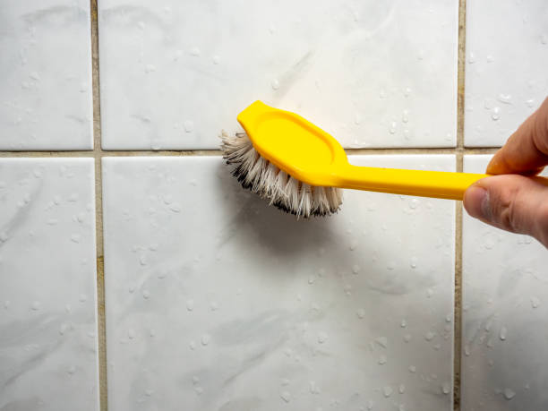 Best Mold Remediation for Schools in Inesville, GA
