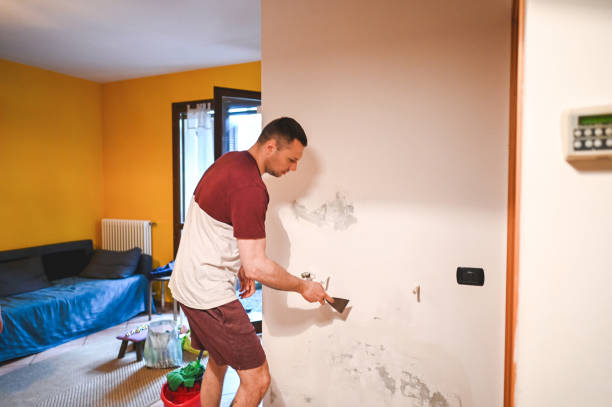 Best Industrial Mold Remediation in Inesville, GA